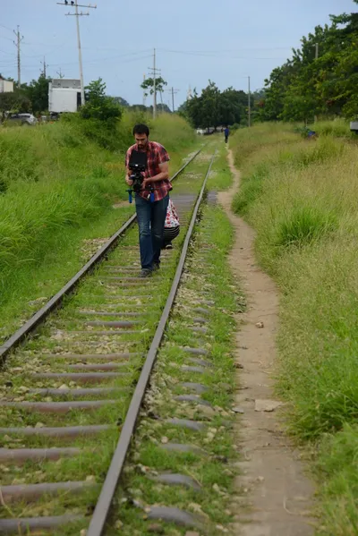 DSC_8778 (Large).JPG